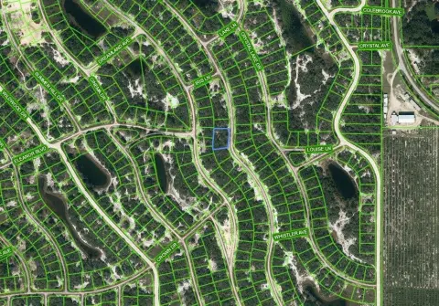 Residential Land in Lake Placid