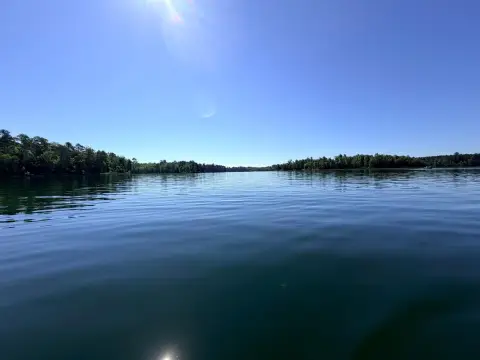 Wooded Lakefront Parcel with 100-Foot Shoreline