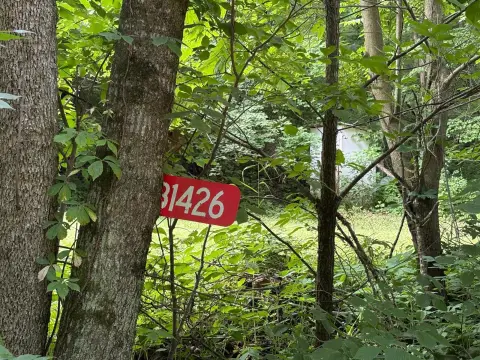 Recreational Hunting Land Tract