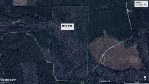 150 Acres Vacant Land, Creek