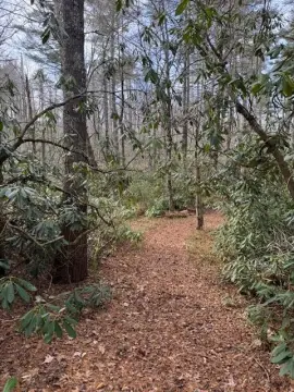 Vacant Land Near Pisgah Forest