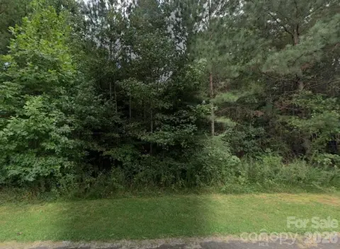 Wooded Lot in Pine Forest