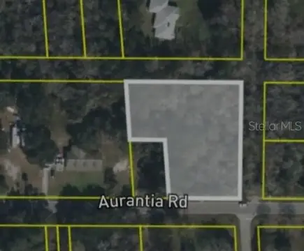 MIMS, FL 1.1-Acre Land Parcel