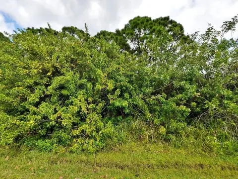 Port Saint Lucie Corner Lot