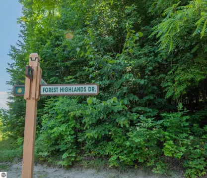 Bellaire Vacant Lot Near Skiing