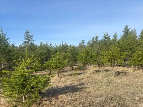 40 Acres Gravel Pit Land