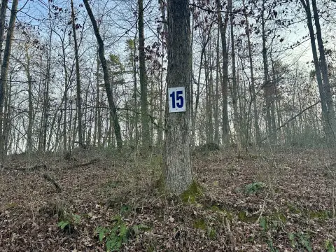 Land in East Bernstadt, KY