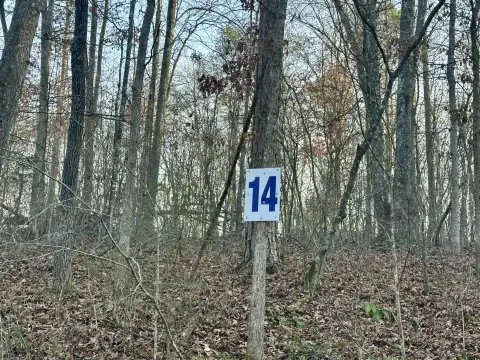 Land in East Bernstadt, KY