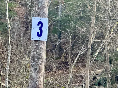 Residential Land in East Bernstadt