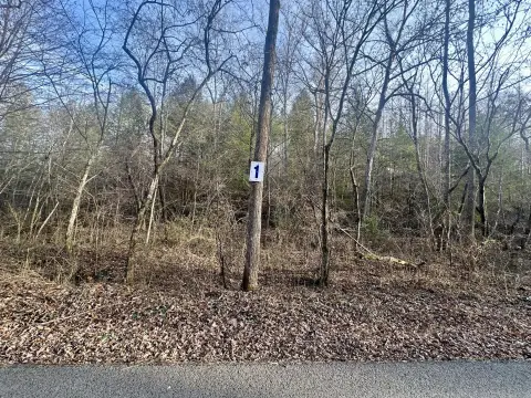 Land in East Bernstadt, KY