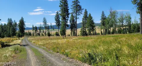 Nine Acre Property with RV Pad