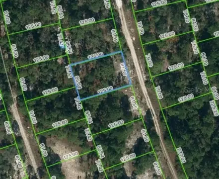 Residential Land in Lake Placid