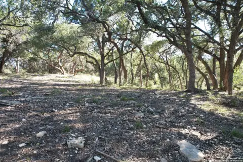 Bulverde Land For Sale