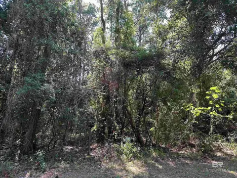 Residential Lots in Fairhope, AL
