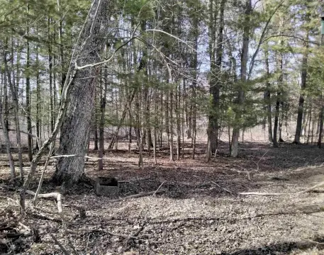 Recreational Land in Neshkoro, Wisconsin