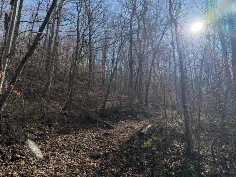 Unrestricted Land Near Lake Cumberland