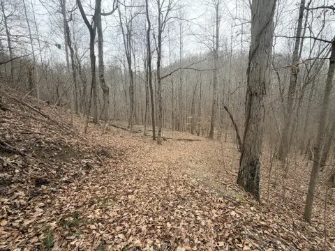 Recreational Wooded Acreage with Creek