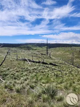 Hunting Land Parcel with Creek