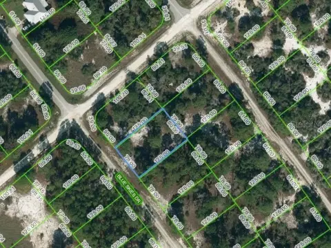 Residential Land in Lake Placid