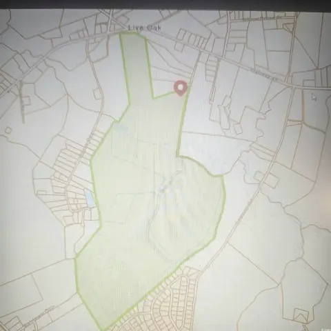 306 Acre Farm in Loris