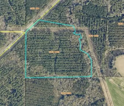 Hunting Land with Timber Value