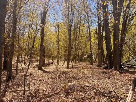 Residential Land in Laketown Twp
