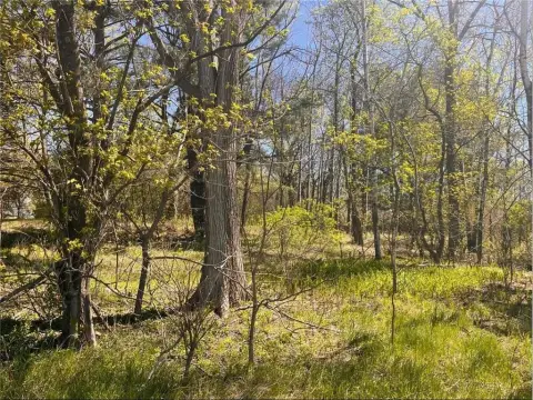 Eureka, WI Residential Land