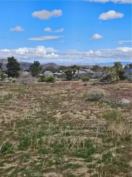 Joshua Tree Land with Water