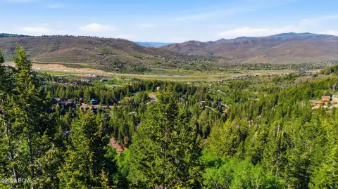 Wooded Downhill Homesite