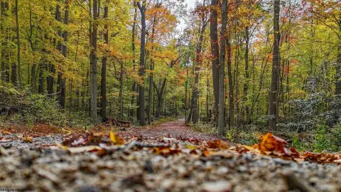 Residential Land Near Cheat Lake