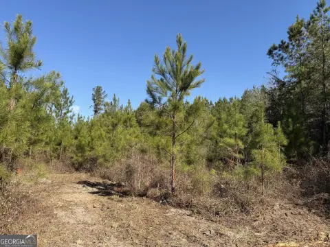 Secluded Hunting and Homesite Land