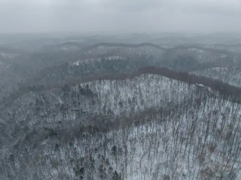 Unrestricted Land Parcel in Dunlow