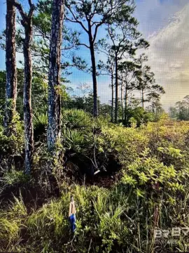 Gulf Shores Building Lot