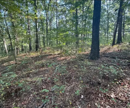 Wooded Residential Development Land