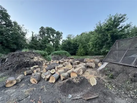 Spacious Residential Lot in Painesville