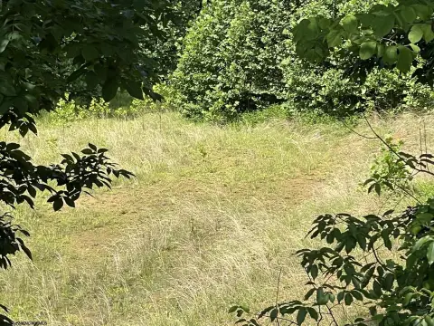 Residential Land Near I-68