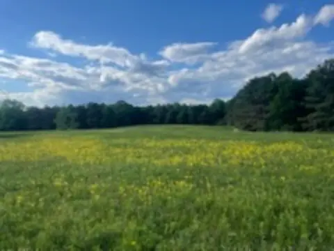 Recreational Hunting Land with Road Frontage
