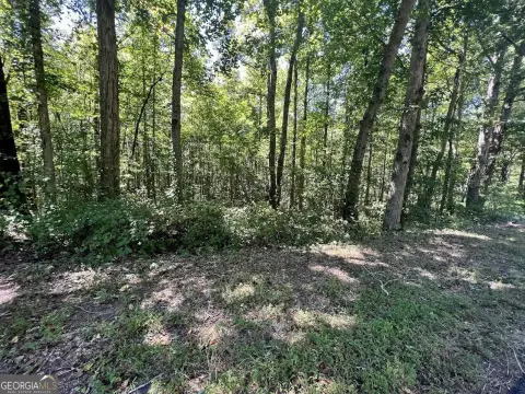 Residential Land in Temple, GA