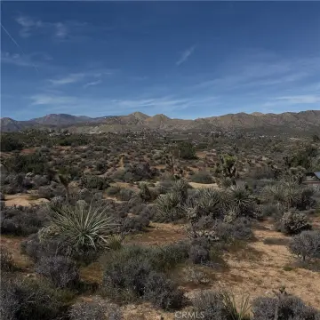 Desert Land Parcel in Yucca