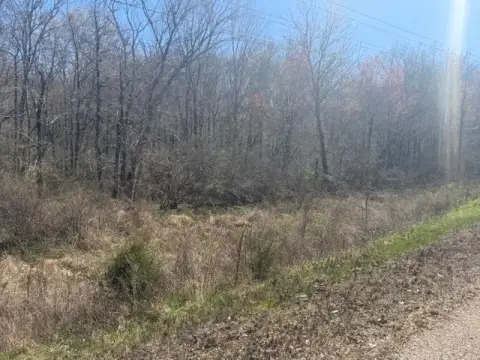 Land For Sale - Jacks Creek
