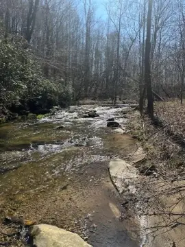 Talking Rock Wooded Acreage