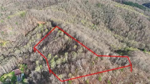 Clyde, NC Land Auction