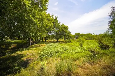 Diverse Acreage in Jacksboro, Texas