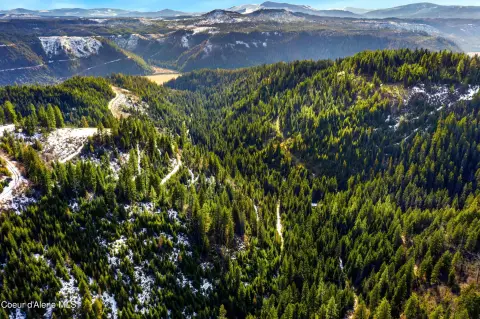 St. Maries Land with River Views