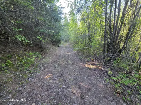 Recreational Timber Land Tract