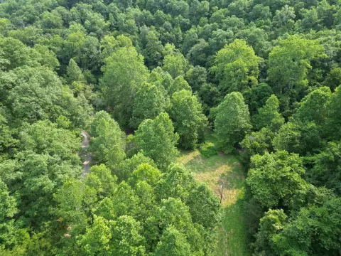 Hunting Land with Pasture