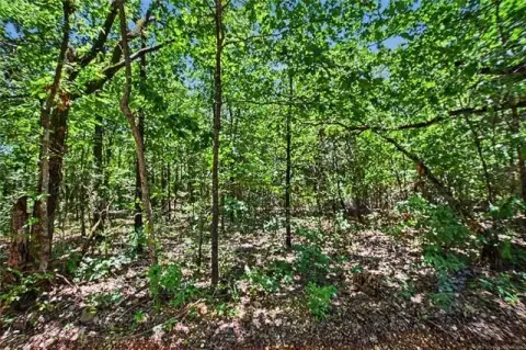 Hunting Land Near Boat Ramp
