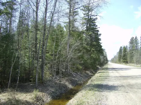 Wooded Hunting Land