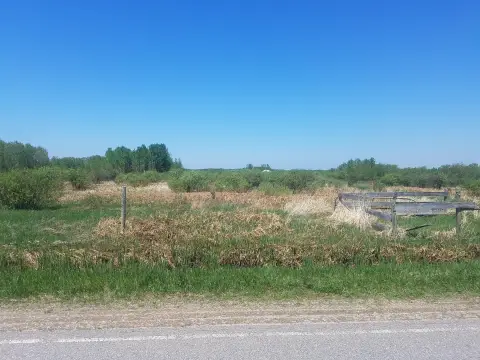 Partially Wooded Hunting Land