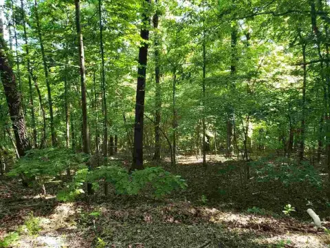 Five-Lot Hunting Land Package